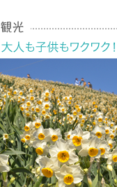 観光 大人も子供もワクワク！